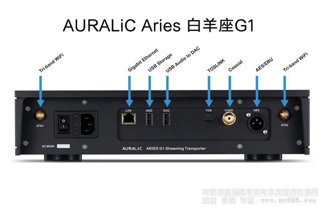 AURALiC Aries G1(sh)ֲřC˿